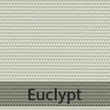 eculypt