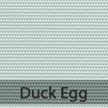 duck egg