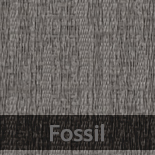 fossil