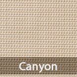 sanyonSV20